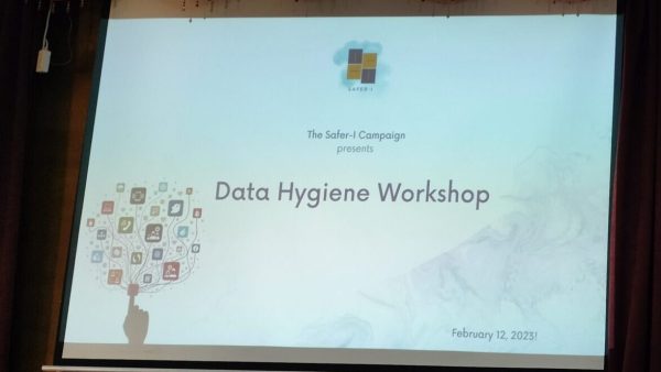 A screen that reads 'Data Hygiene Workshop'